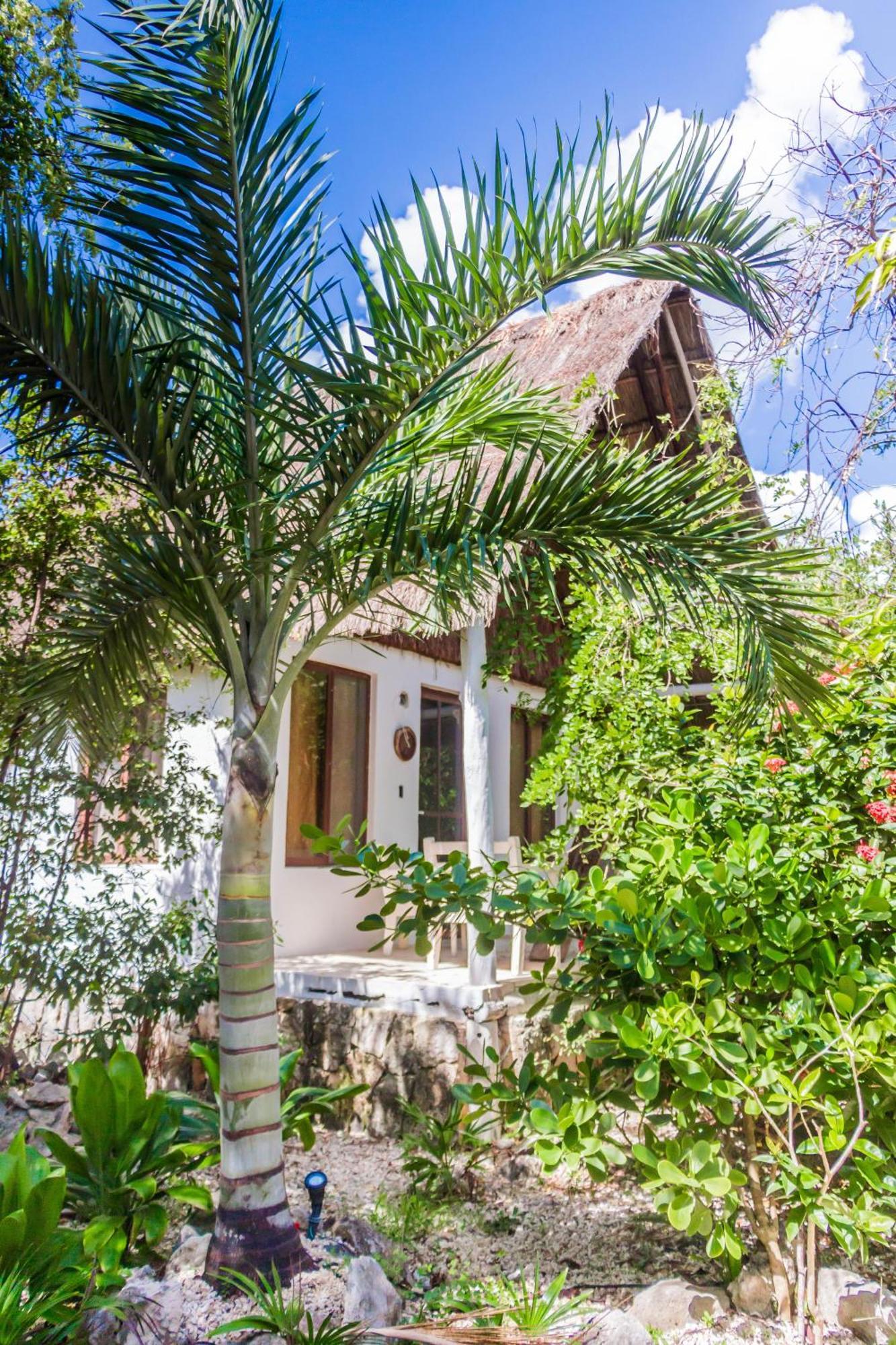 Roc Luxe Tulum Hotel ภายนอก รูปภาพ